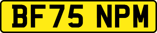 BF75NPM