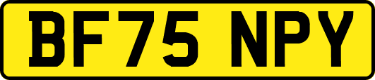 BF75NPY