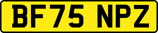 BF75NPZ