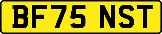 BF75NST