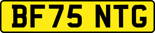 BF75NTG