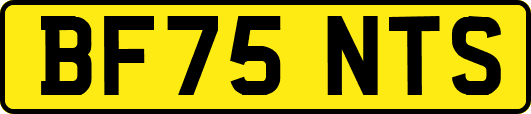 BF75NTS