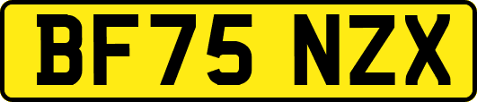 BF75NZX