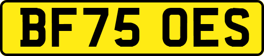 BF75OES