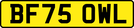 BF75OWL