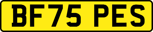 BF75PES