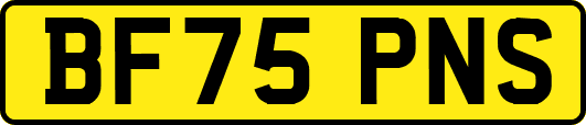 BF75PNS