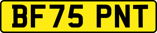 BF75PNT