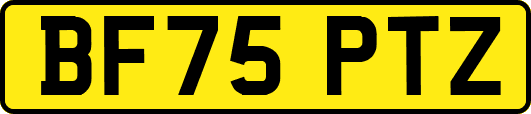 BF75PTZ