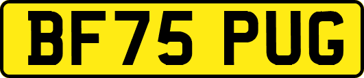 BF75PUG