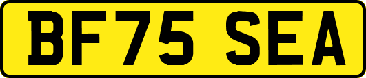 BF75SEA