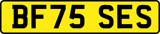 BF75SES