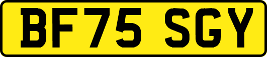 BF75SGY