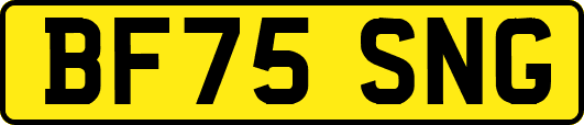 BF75SNG