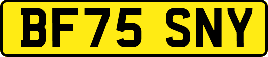 BF75SNY