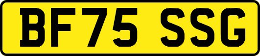 BF75SSG