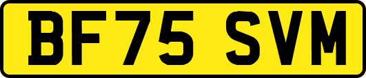 BF75SVM