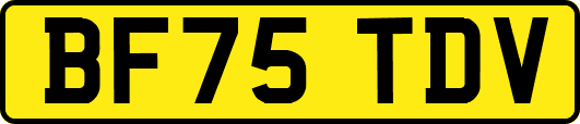 BF75TDV