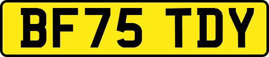 BF75TDY