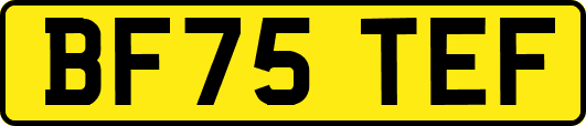 BF75TEF