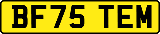 BF75TEM