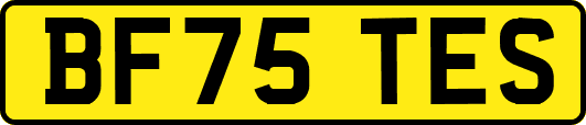 BF75TES