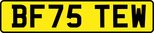 BF75TEW
