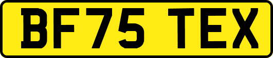 BF75TEX