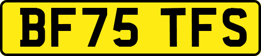 BF75TFS