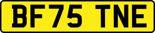 BF75TNE