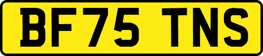 BF75TNS