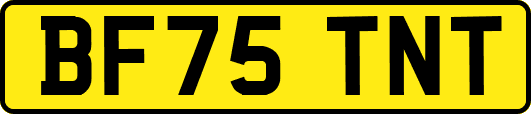 BF75TNT
