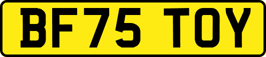 BF75TOY