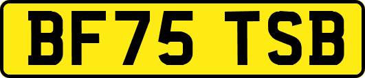 BF75TSB