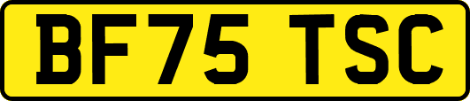 BF75TSC