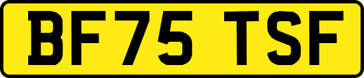 BF75TSF