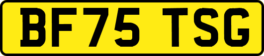 BF75TSG