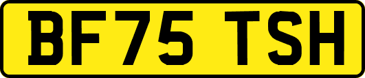 BF75TSH