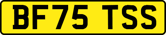 BF75TSS