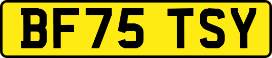 BF75TSY
