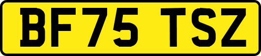 BF75TSZ