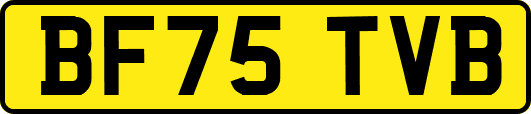 BF75TVB