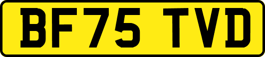 BF75TVD