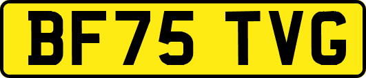 BF75TVG