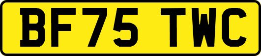 BF75TWC
