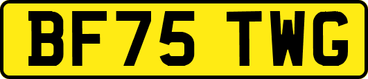 BF75TWG