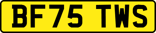BF75TWS