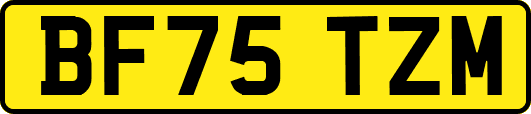 BF75TZM