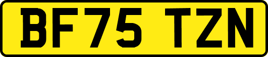 BF75TZN