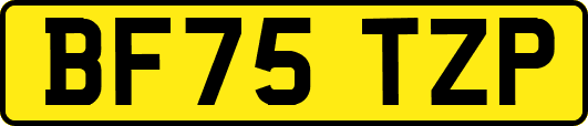 BF75TZP